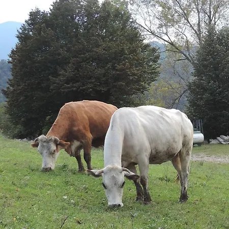 Farma Il Balcone Sulla Valle *